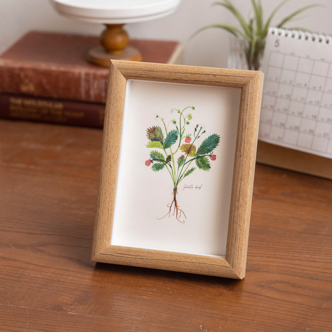 Artistic Illustration Frame