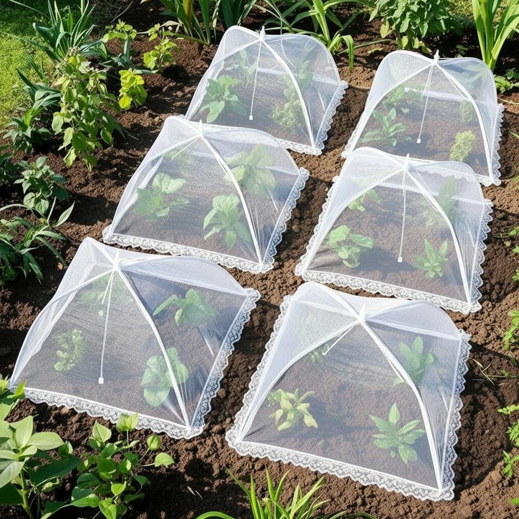 Protective Garden Canopy Stornfield