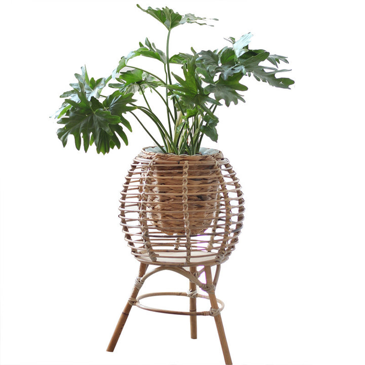 Beef Basket Chair Stornfield