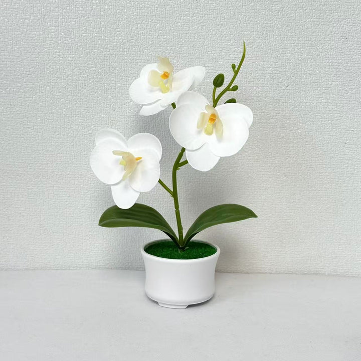 Artificial Orchid Plant for Indoor Home and Office Decor