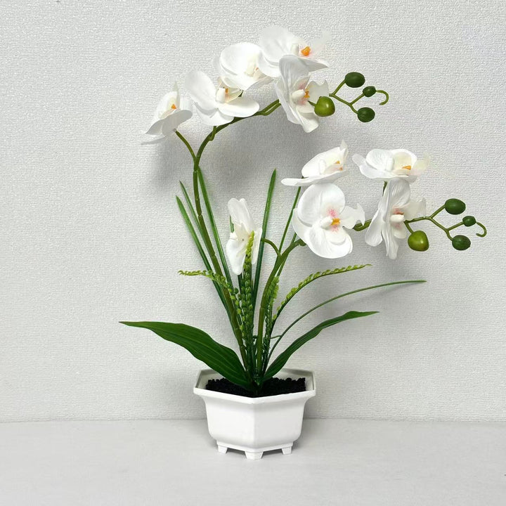 Home Decorative Artificial Orchid for Home Decor and Display