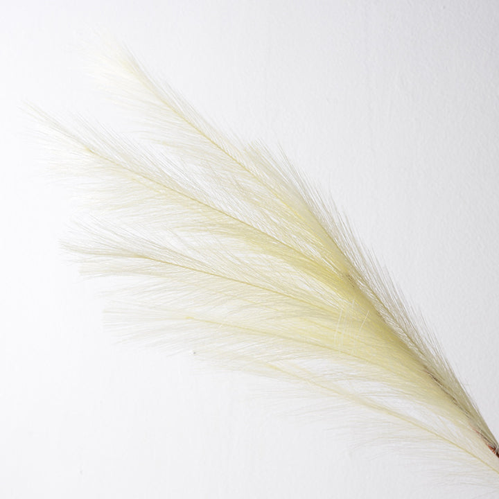 Decorative Faux Pampas Grass Stem