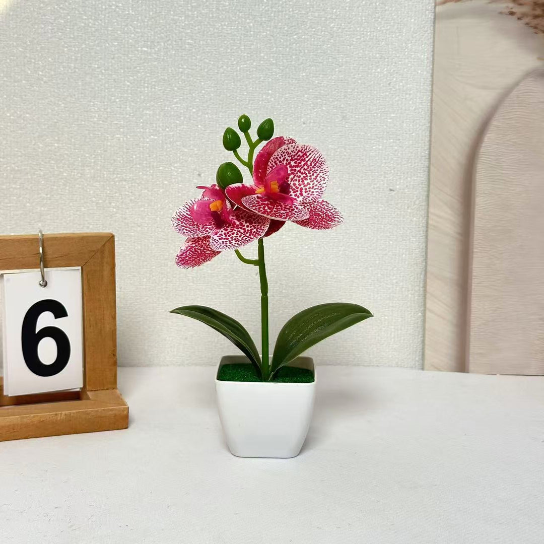 Lifelike Floral Orchid Display for Indoor Home Decor