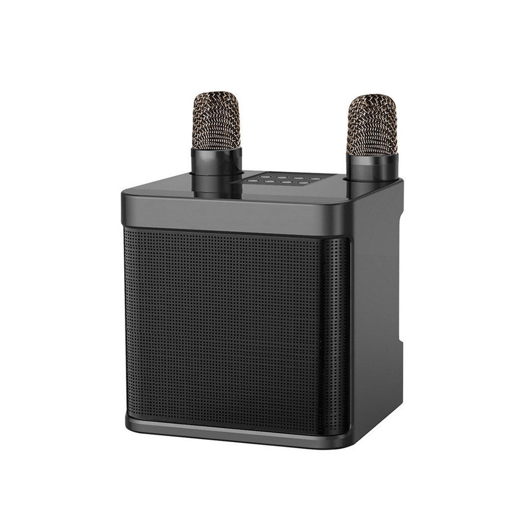Karaoke Microphone Speaker System Stornfield