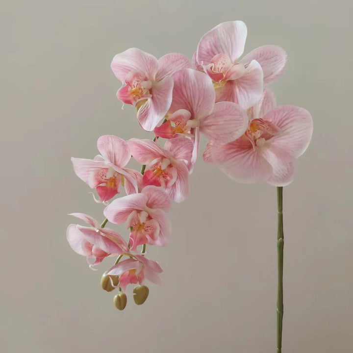 Lifelike Orchid Floral Stem