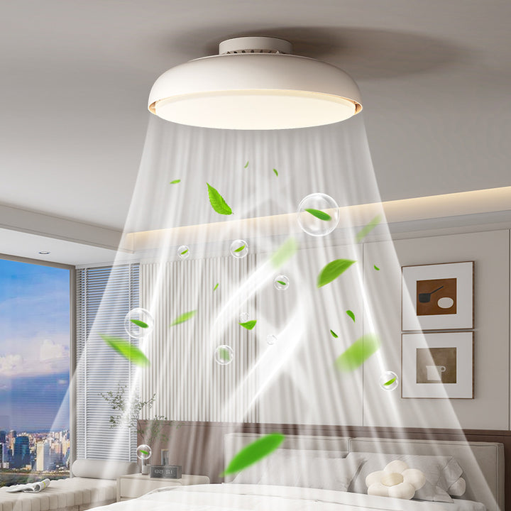 Modern Ceiling Fan with Integrated LED Light