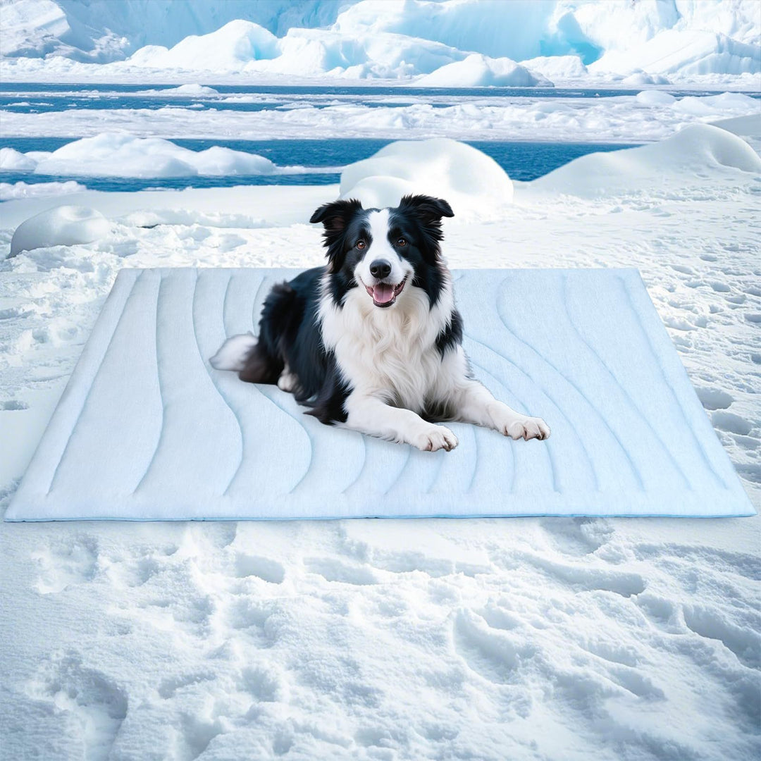 Tier Snuggle Blanket Stornfield