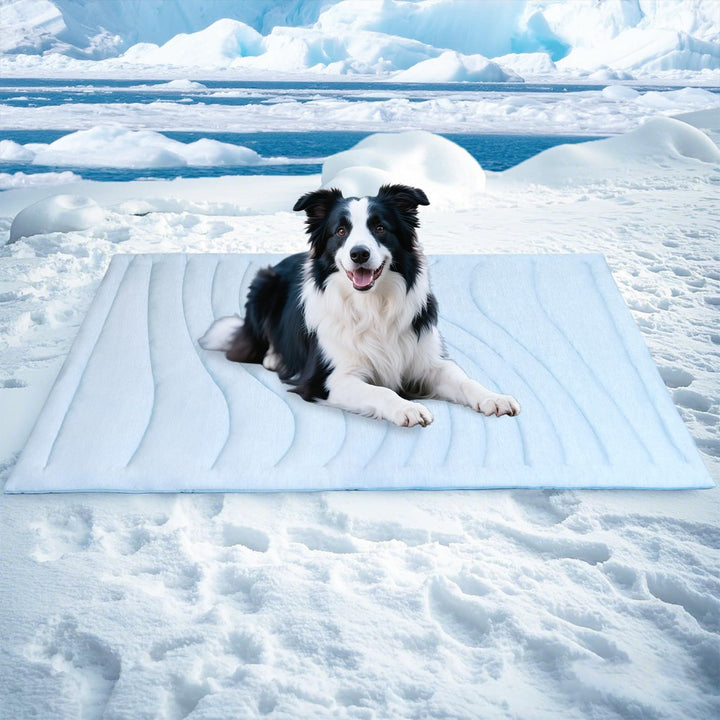 Tier Snuggle Blanket Stornfield