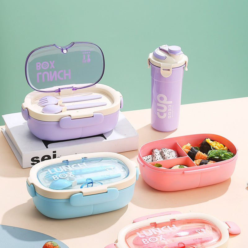 Insulated Multi-Compartment Lunch Box