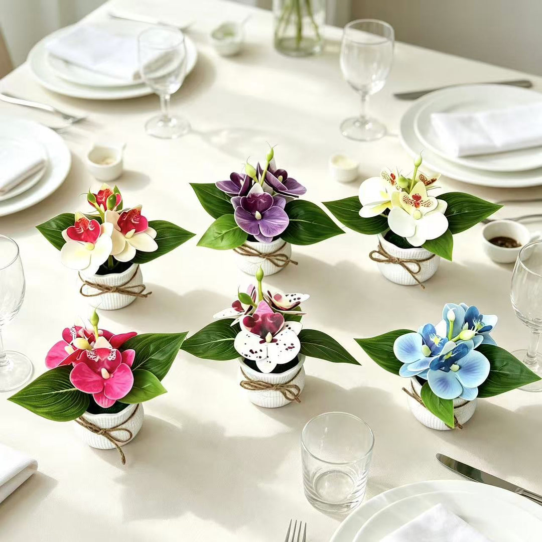 Decorative Miniature Orchid Arrangement