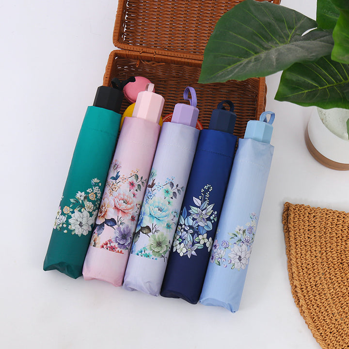 Ladies Rainbow Umbrella Stornfield