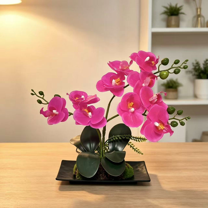 Orchid Flower Arrangement