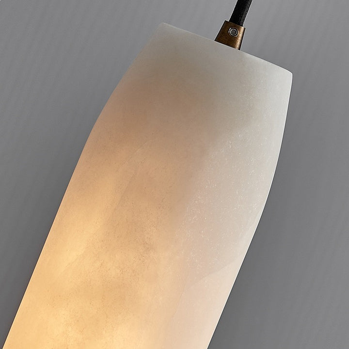 Modern Pendant Ceiling Light Fixture