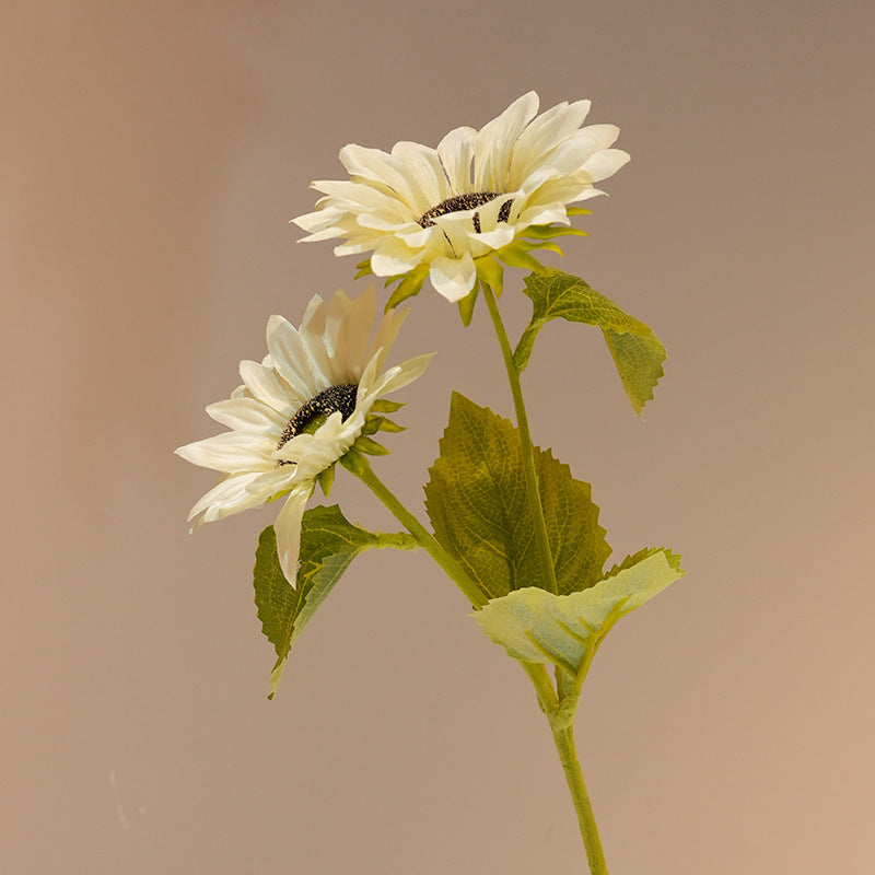 Decorative Sunflower Stornfield