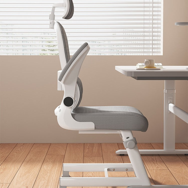 Ergonomic Office Chair Stornfield