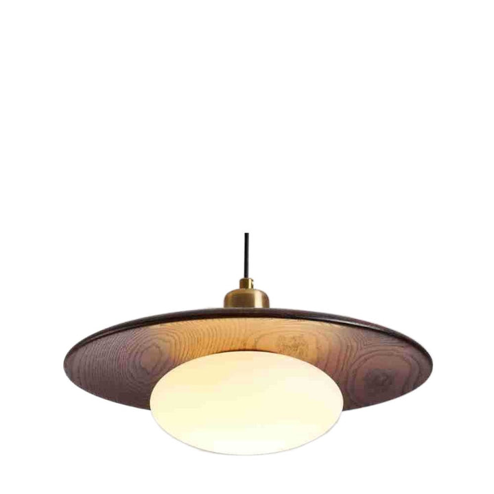 Modern Artistic Pendant Light Fixture
