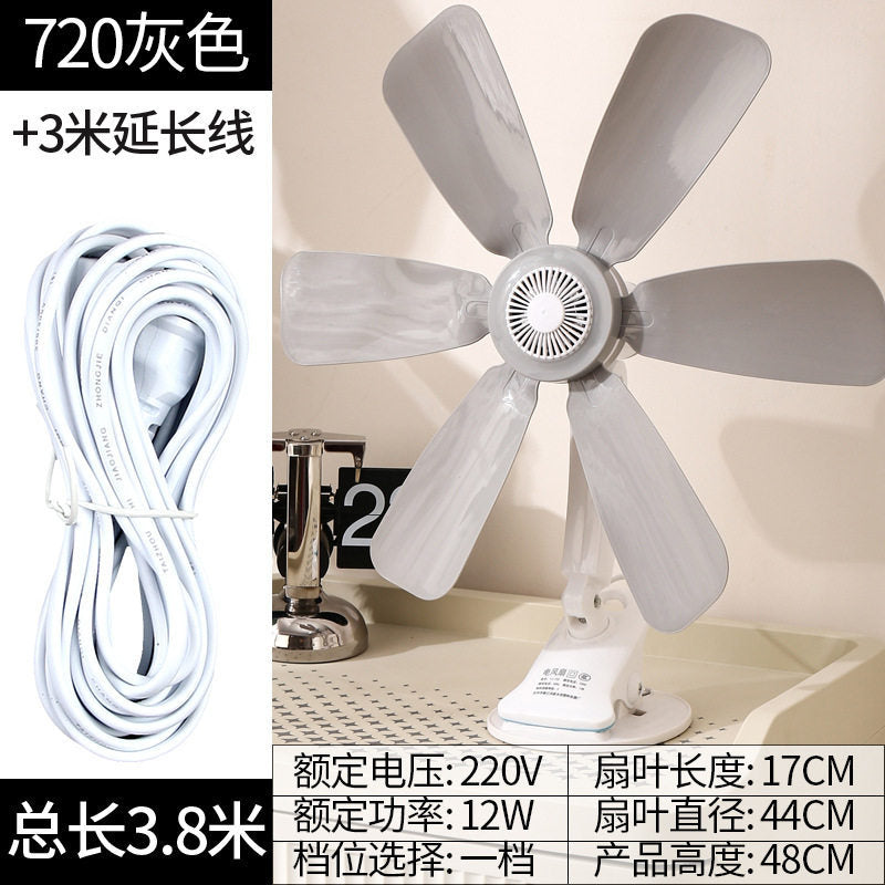 Women's Stand Fan Stornfield