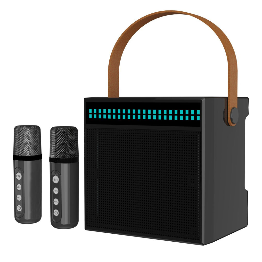 Portable Karaoke System with Dual Microphones Stornfield