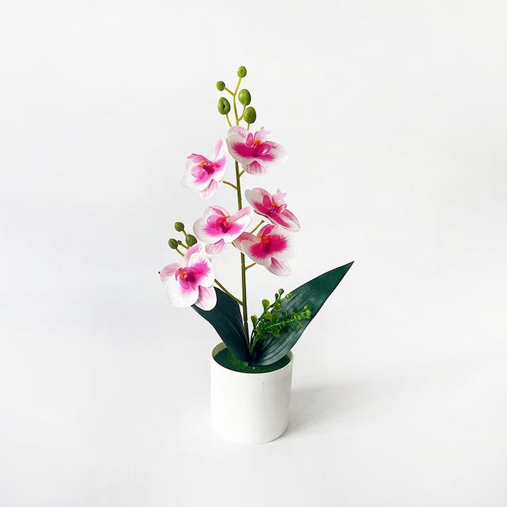 Elegant Artificial Orchid Plant Arrangement for Indoor Display