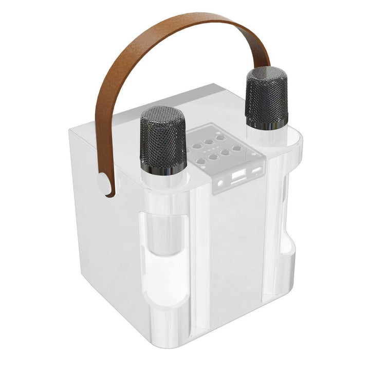 Portable Karaoke System with Dual Microphones Stornfield