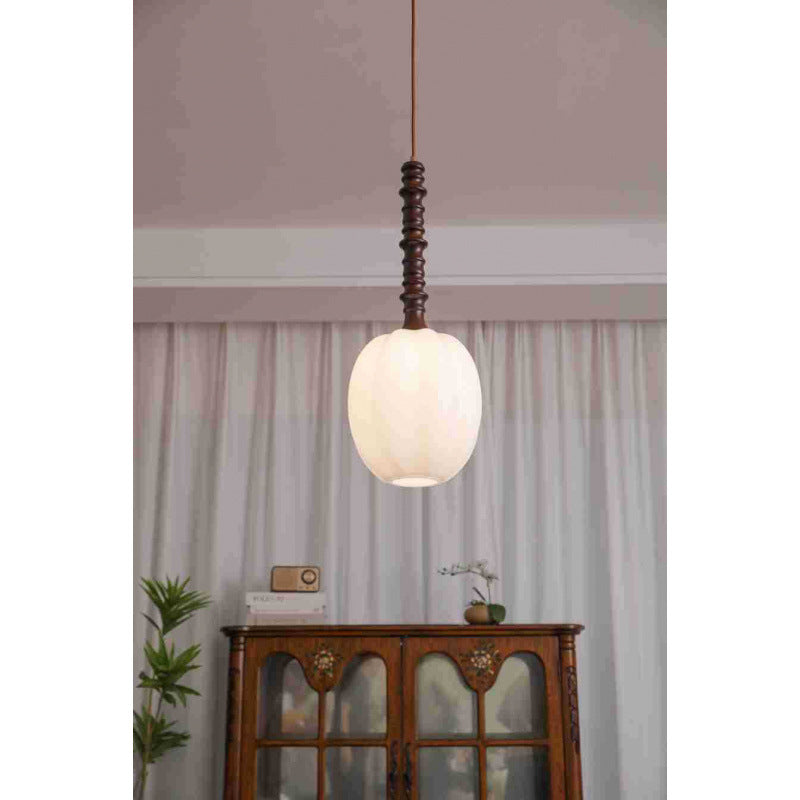 Modern Elegant Hanging Pendant Light