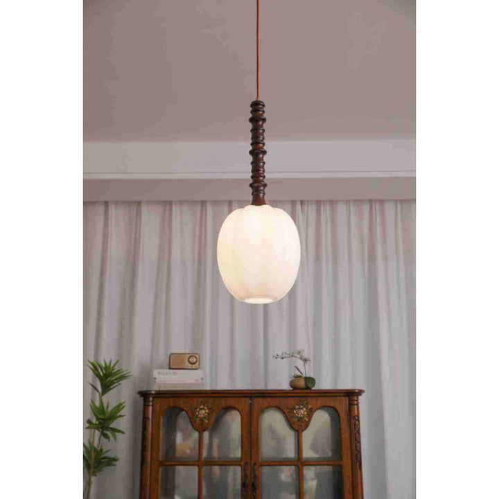 Modern Elegant Hanging Pendant Light