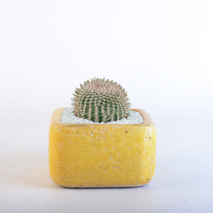 Deko Pot Stornfield