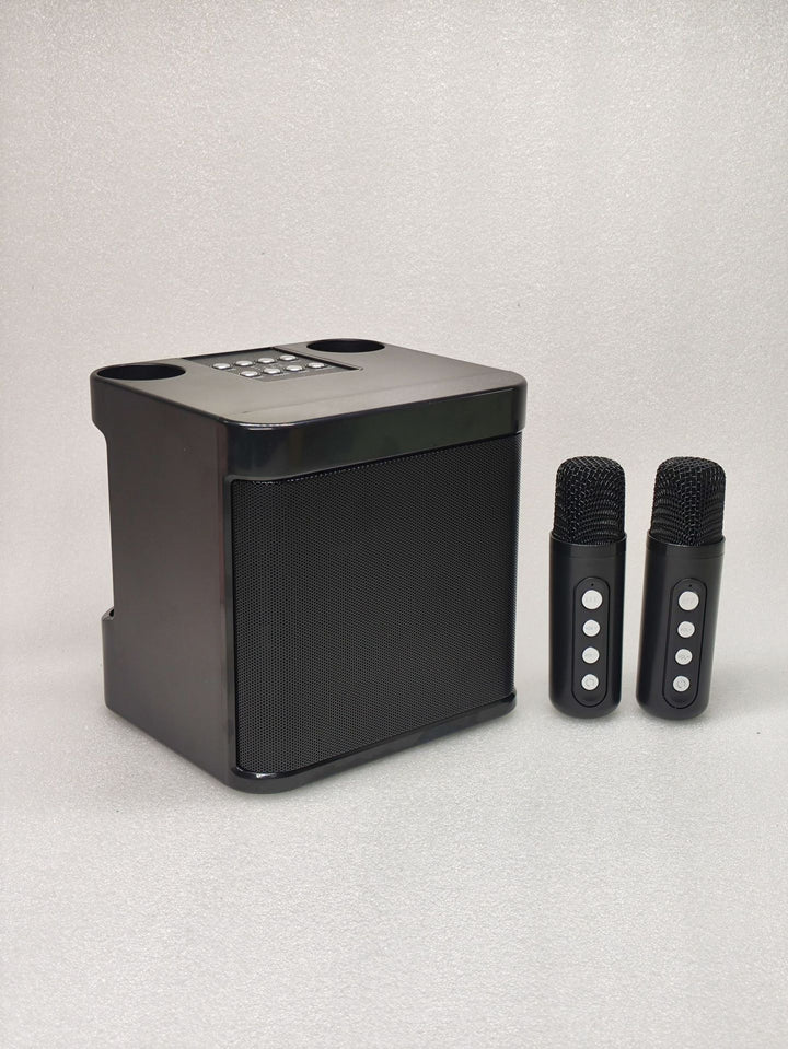 Portable Karaoke Speaker System Stornfield