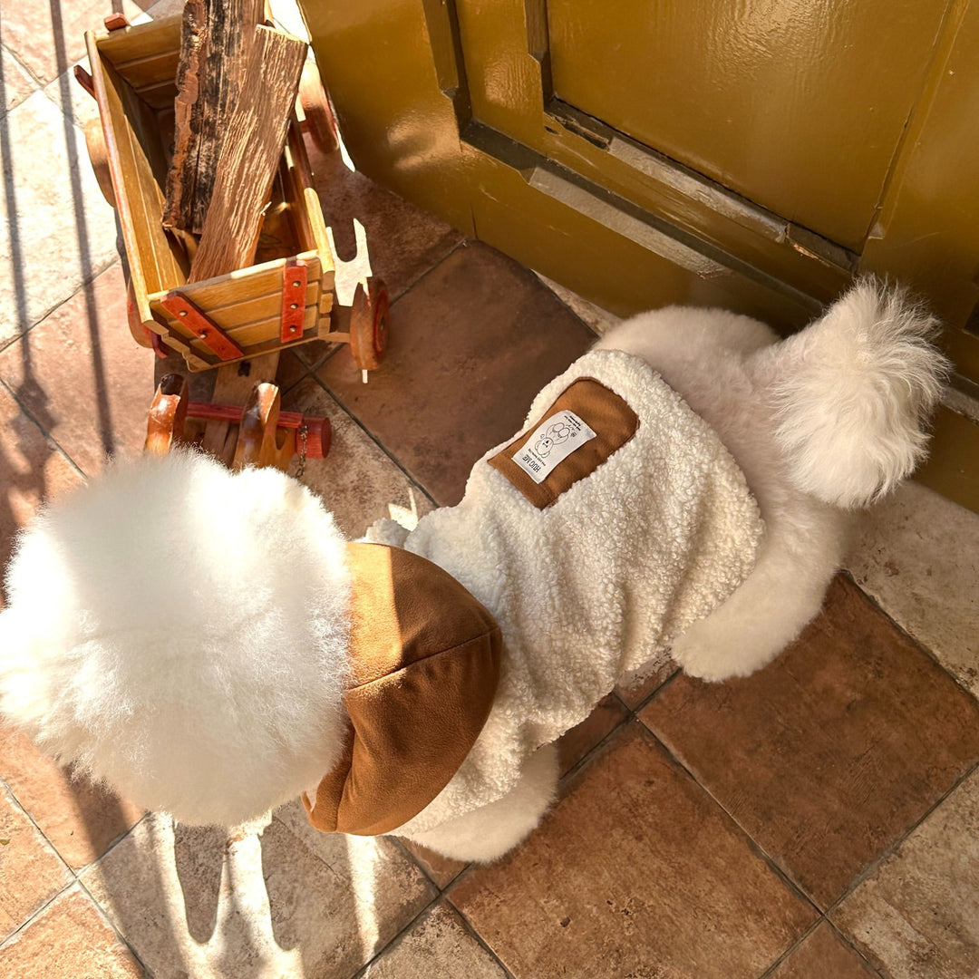 Hooded Sherpa-Lined Pet Coat