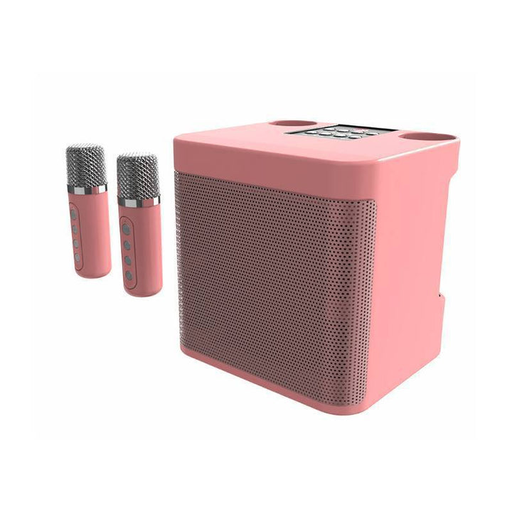 Dual Microphone Karaoke Speaker Stornfield
