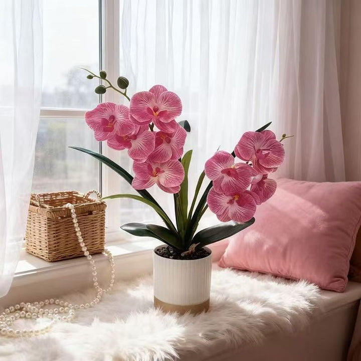 Orchid Floral Pot Arrangement