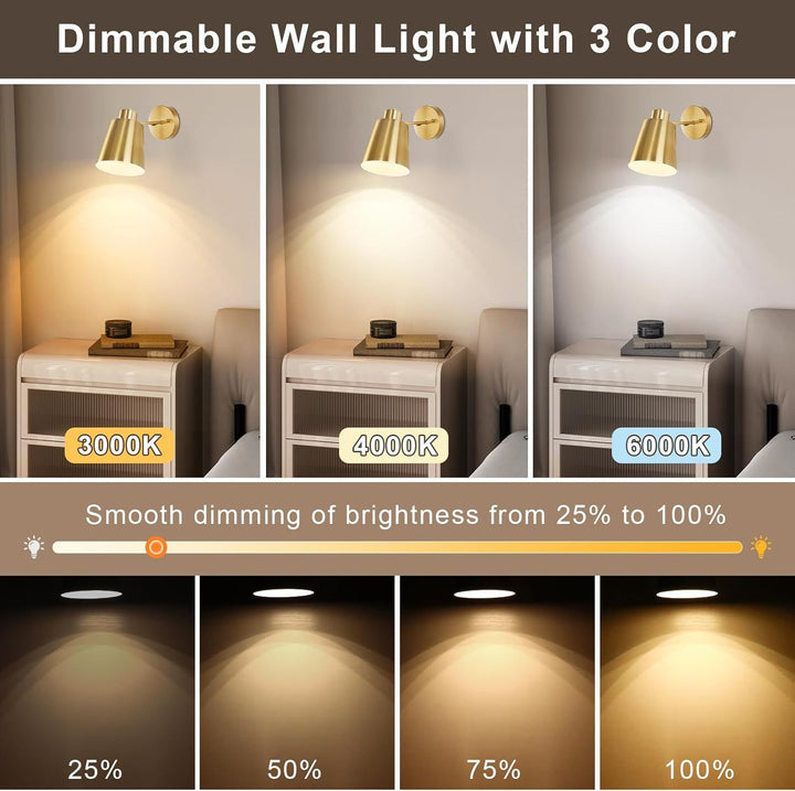 Wall Sconce