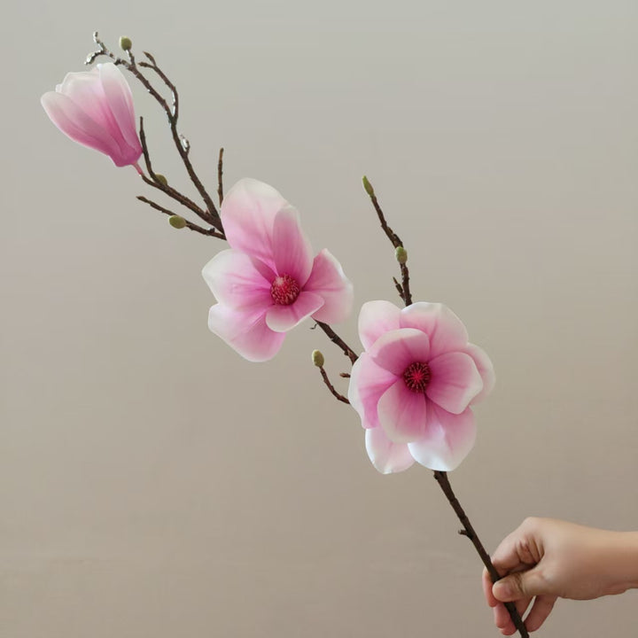 Elegant Magnolia Blossom Stem