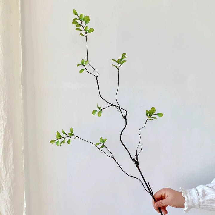 Decorative Natural Branch Arrangement