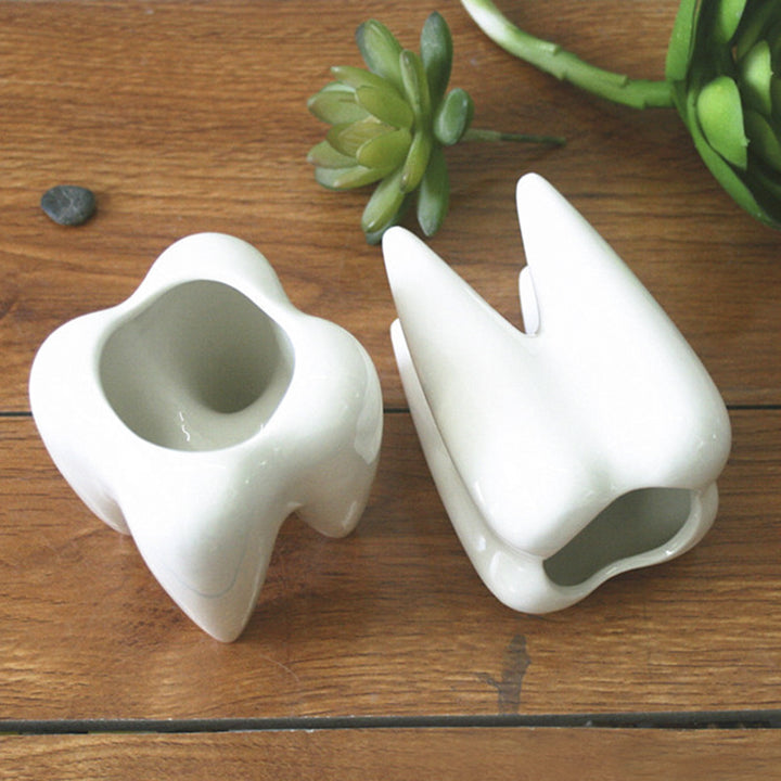Creative Tooth-Shaped Planter Stornfeild