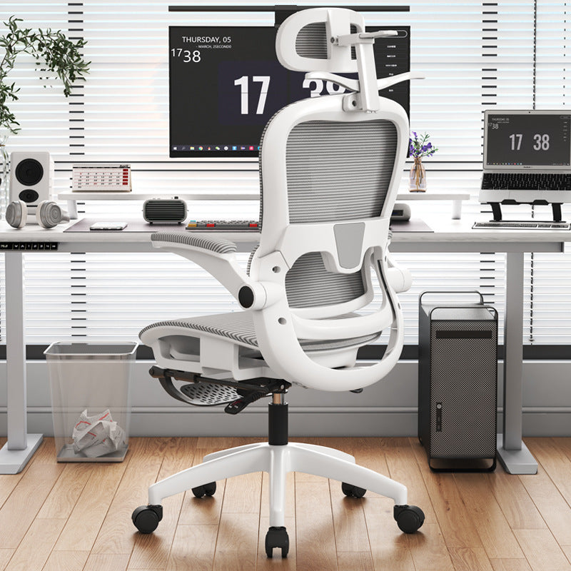 Adjustable Lumbar Support Office Chair Stornfield