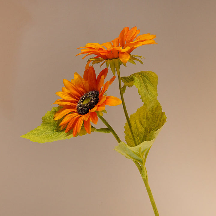 Decorative Sunflower Stornfield