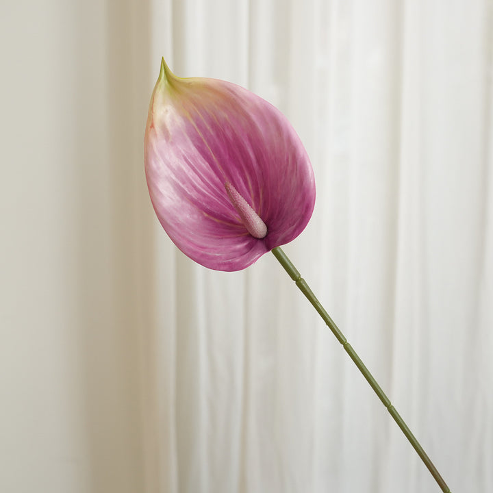 Artificial Anthurium Stornfield