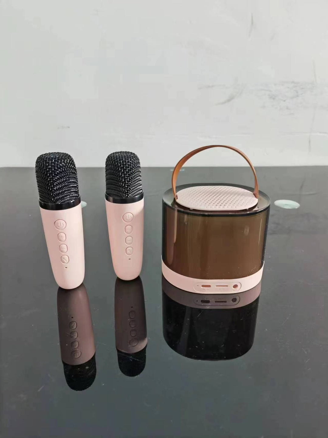 Karaoke Microphone Set Stornfield