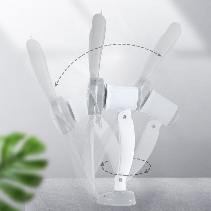 Ladies Wall Fan Stornfield
