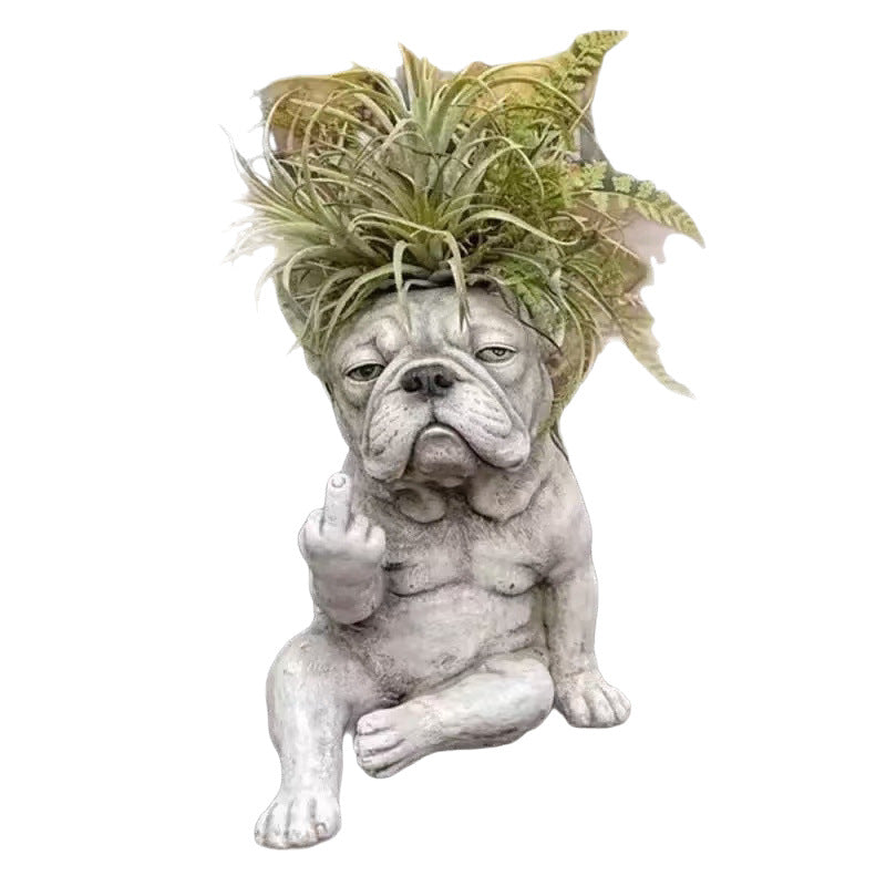 Decorative Dog Plant Stornfield
