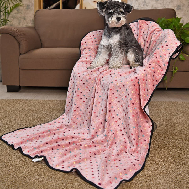 Ladies Cozy Microfiber Blanket with Playful Pattern Stornfield