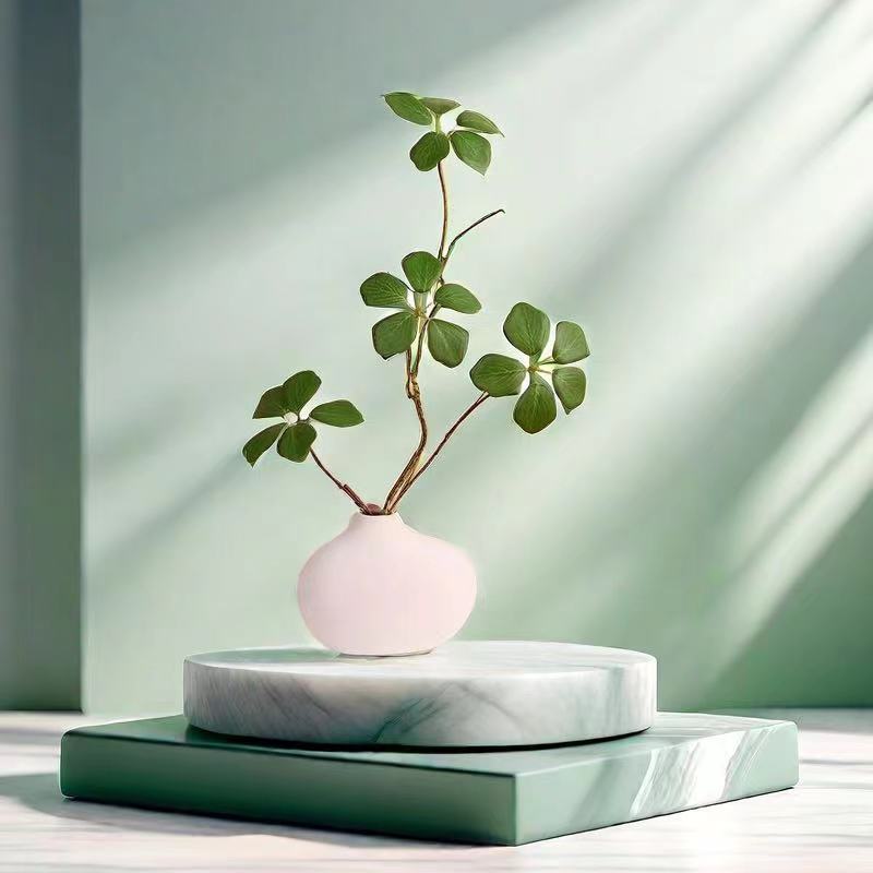 Minimalist Decorative Plant Arrangement