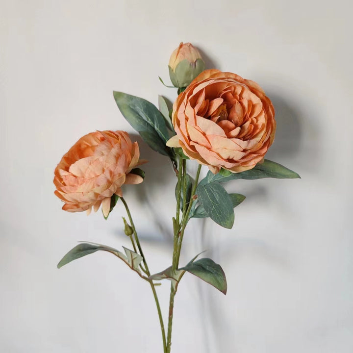 Elegant Peony Flower Stem
