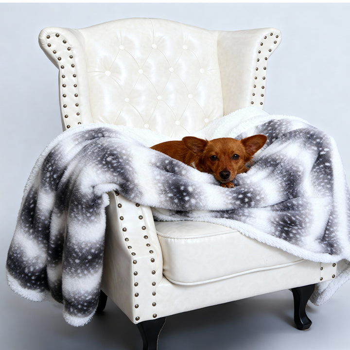 Women Cozy Dog Blanket with Soft Fleece and Modern Design Stornfield