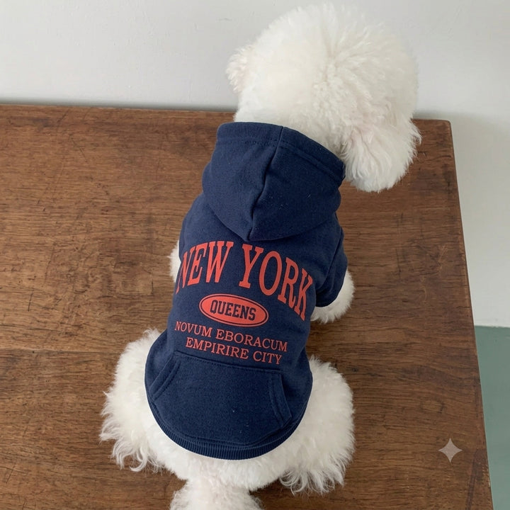 Small Dog Cotton Fleece Hoodie with Graphic New York Queens Print
