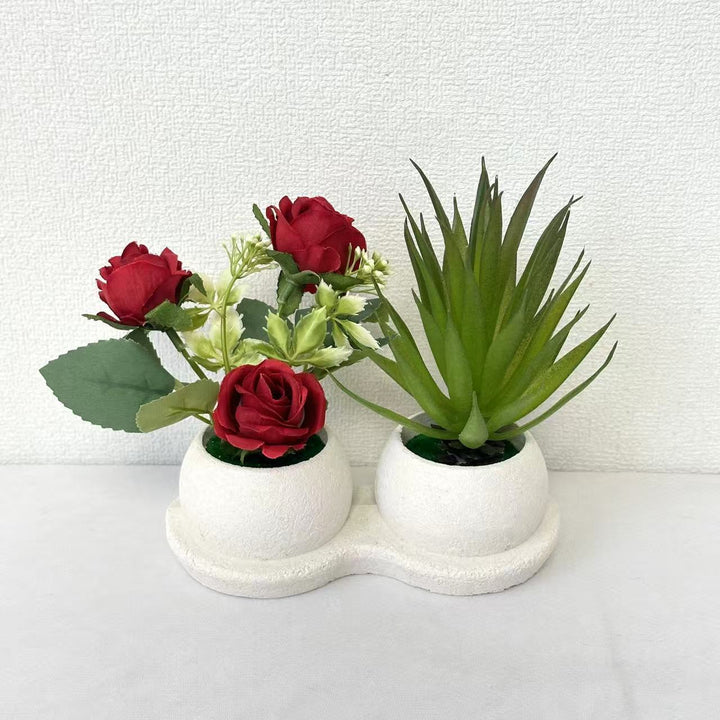 Decorative Succulent and Rose Arrangement for Home Decor
