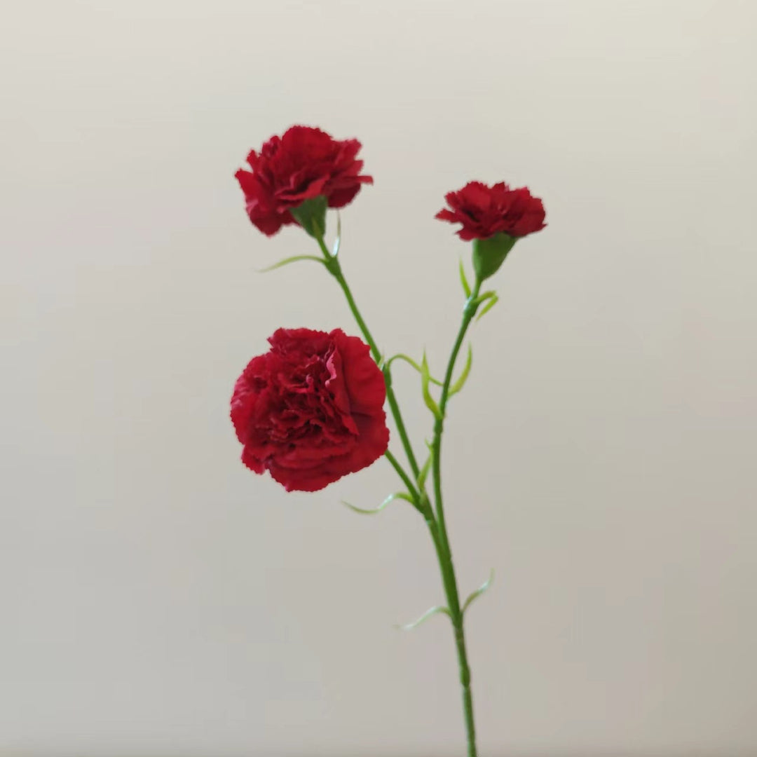Lifelike Carnation Floral Stem