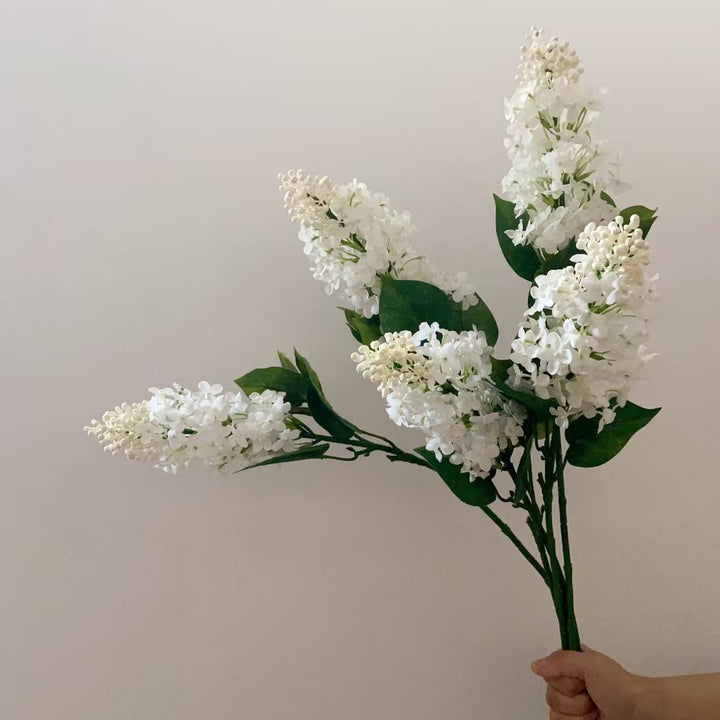 Realistic Lilac Flower Stem