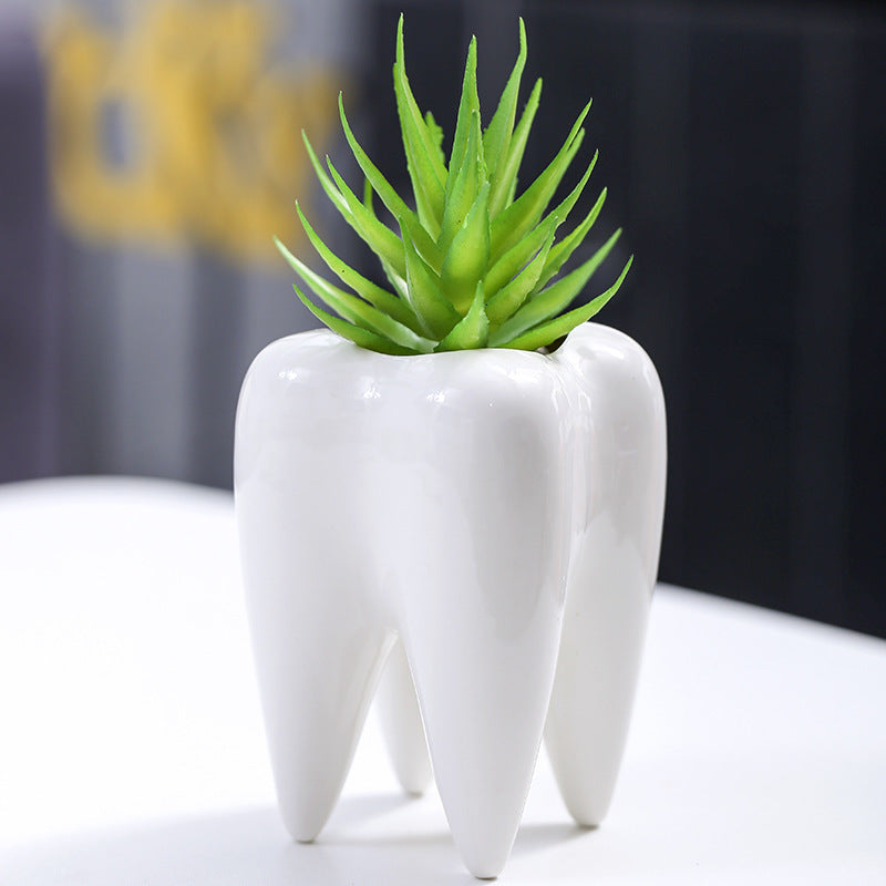 Creative Tooth-Shaped Planter Stornfeild